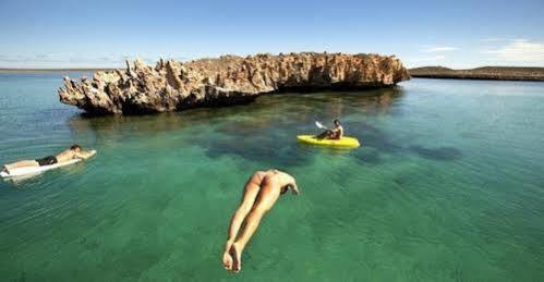 Dirk Hartog Island Eco Lodge Денем Экстерьер фото